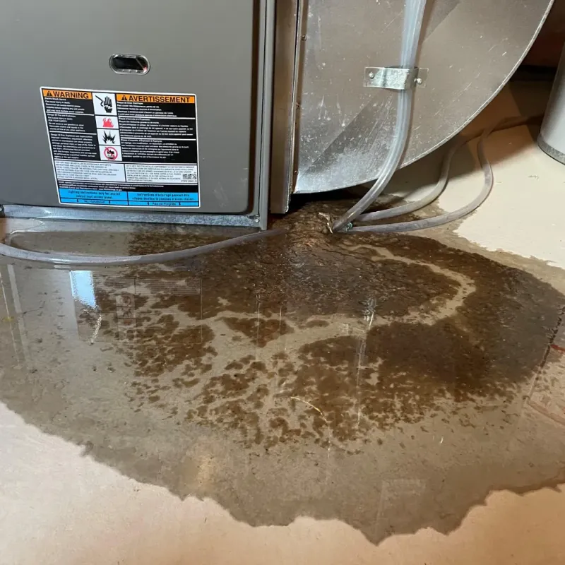 Appliance Leak Cleanup in Richland, WA