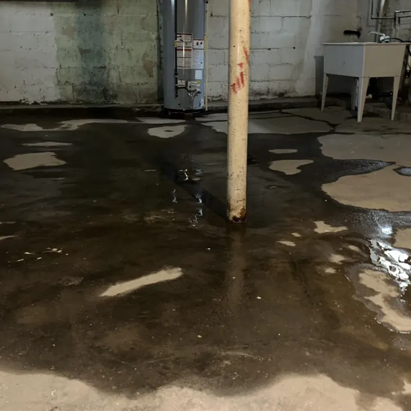 Emergency Water Extraction And Removal in Richland, WA